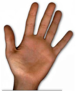 صلاة الخمس اصابع Hand