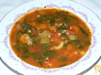 mes meilleurs soupe aux légumes P1100178