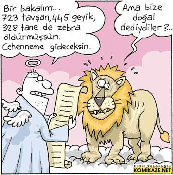 Birkaç Karikatür ve Resim C6