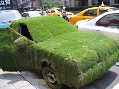 أعجب وأغرب سيارات بالعالم 2011 Grass-covered-car-camouflage