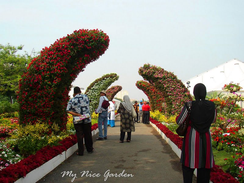 صور خلابة استمتع بمشاهدتها  Floria-putrajaya-flower-garden-festival