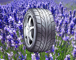 neumáticos de olores y colores  Lavender_tire