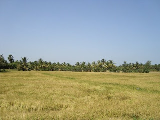 என்னை நினைவு இருக்கா ? DSC00589