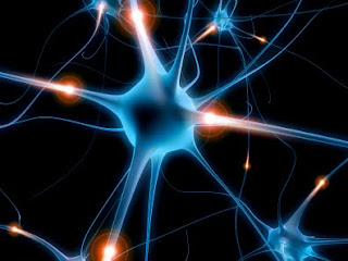 electronic samples  Brain-cell