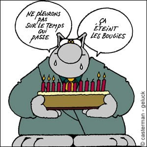 Bon anniversaire !!!?????? - Page 20 Medium_anniversaire_chat