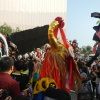 香港龍獅節 Hong Kong Lion Dragon Festival - 頁 2 LPHFNvhz