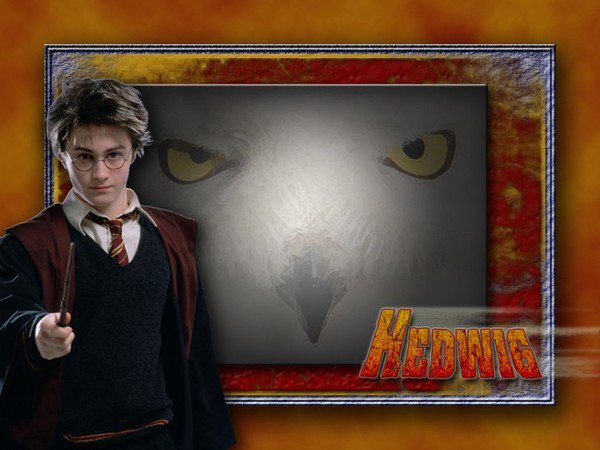 Pour les fans d'Harry Potter" (photos) 3153257834_1_16_YLL8HjHD