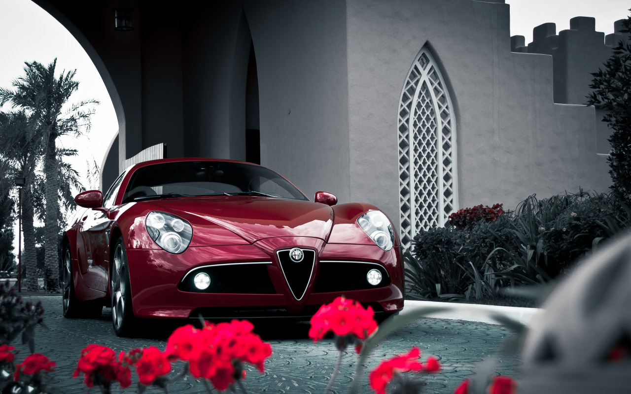 Alfa Romeo Tumblr_mhvqqbTh5m1rqte1po1_1280