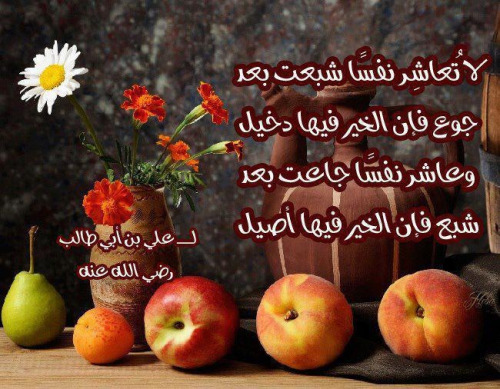 كلمات رائعة للامام على بن أبى طالب مصورة Tumblr_mmr214aTU01qkhwado1_500