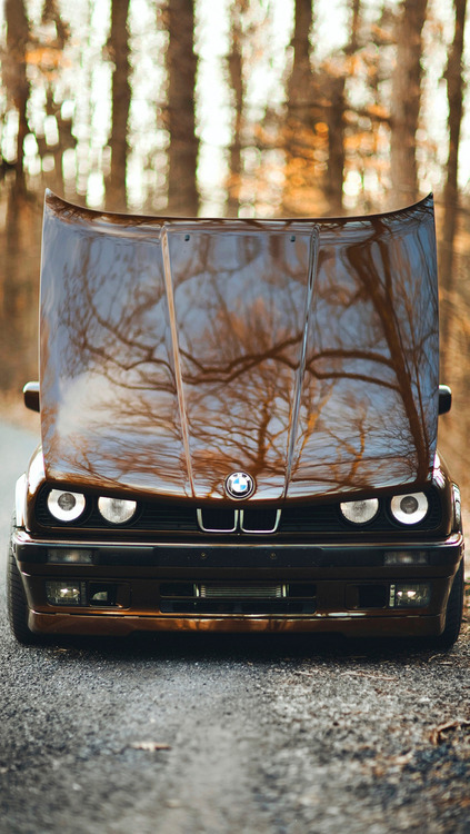 Bmw - Page 24 Tumblr_ml0s6iZsHo1s4fzauo1_500