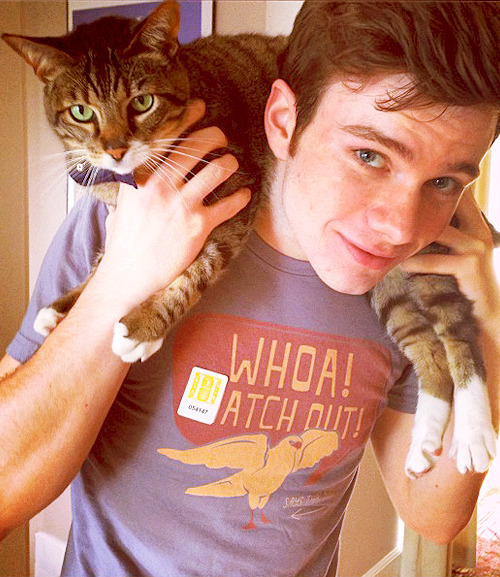 Chris and Brian Colfer Tumblr_mnhug4exQF1rv6xrao1_500