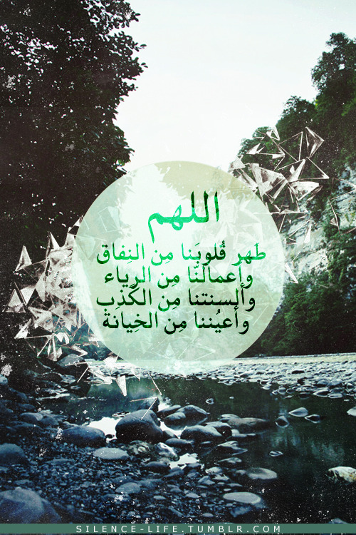 شـمس مشــرقة فـي كل الفــصول .!! Tumblr_mjxeb0AOma1qmmofjo1_500