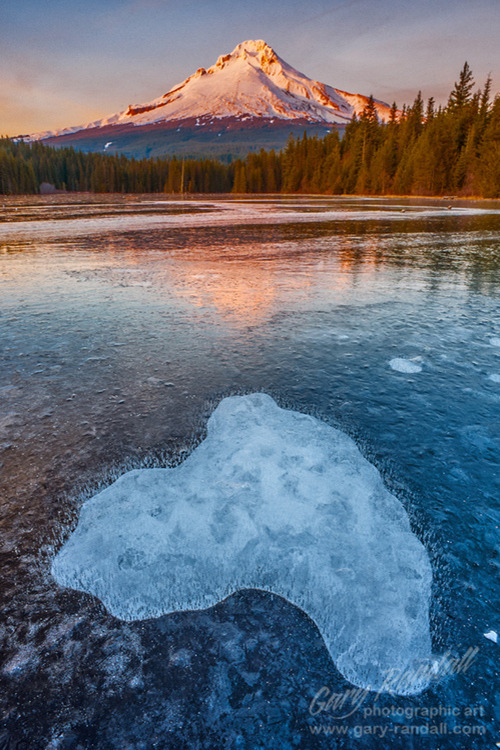 PLANETA  AGUA ..... - Página 22 Tumblr_mwygqkeWU11s4uwt4o1_r1_500