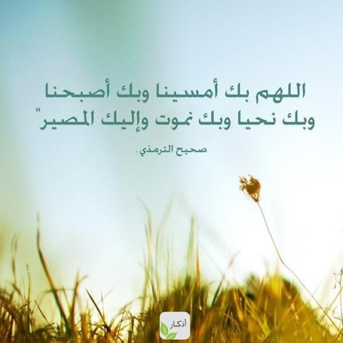 مليون رد للتحدى! - صفحة 2 Tumblr_mlk2zyBxRZ1qdib0bo1_500