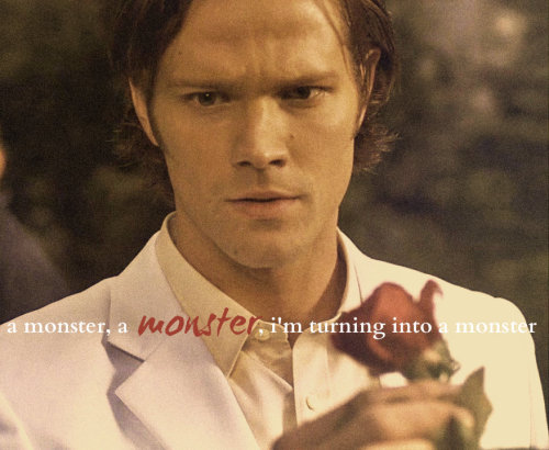 Jared Padalecкi <3 Tumblr_mx1qgnEYQZ1rvzxbzo2_500