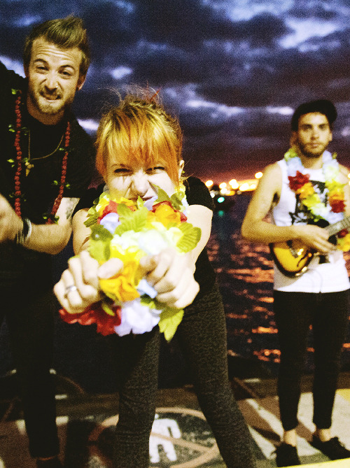 Paramore Tumblr_mhec0s2QhD1ri3kl4o1_500