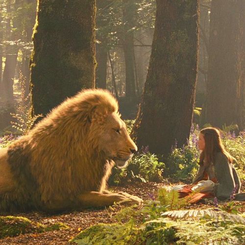 Las Cronicas de Narnia:El principe Caspian-Edmund y tu  - Página 4 Tumblr_mf358juOcK1rukx0zo1_500