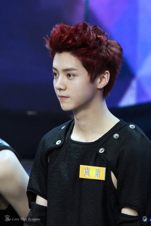 [FANTAKEN] 130604 EXO @ Happy Camp [31P] Tumblr_mptziykVal1ralgblo1_500