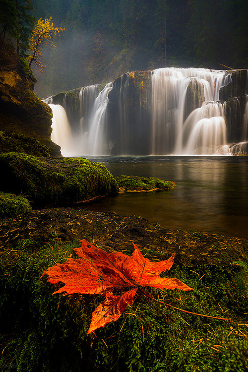 PLANETA  AGUA ..... - Página 23 Tumblr_mwys88XUPa1s4uwt4o1_r1_500