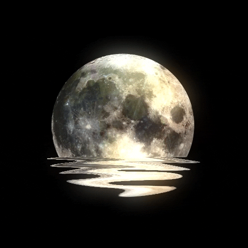  -LUNAS-MOONLIGHT Tumblr_mqm22ca4vB1rsdpaso1_500