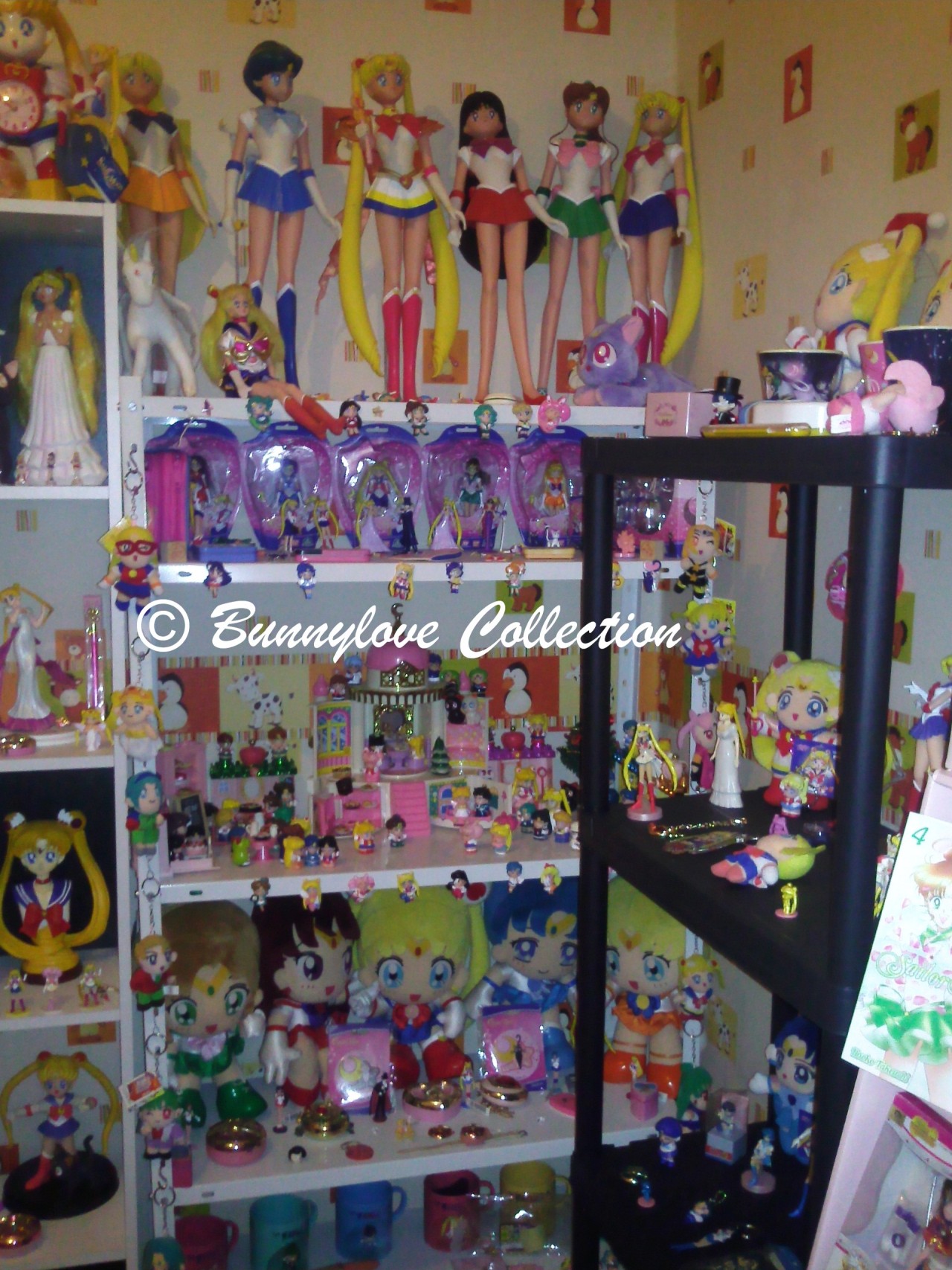 Ma collection Sailor Moon - Page 2 Tumblr_n1czzmEsGf1qia2cjo1_1280