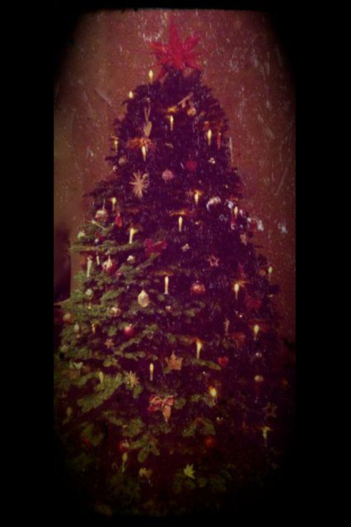 BTK APP Alien Wall - Bill&Tom: Feliz Natal  Tumblr_mfk1gop4t61rv3ublo2_500