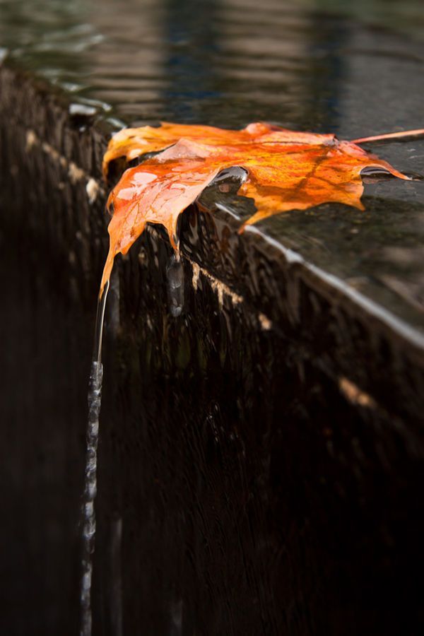 PLANETA  AGUA ..... - Página 29 Tumblr_n0l4xgzZ571rscbr6o1_1280