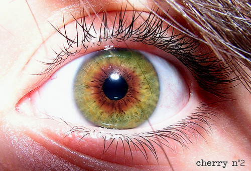 what's the color of your iris? - Page 2 Tumblr_lfgn4gnWXw1qcfq9ro1_500