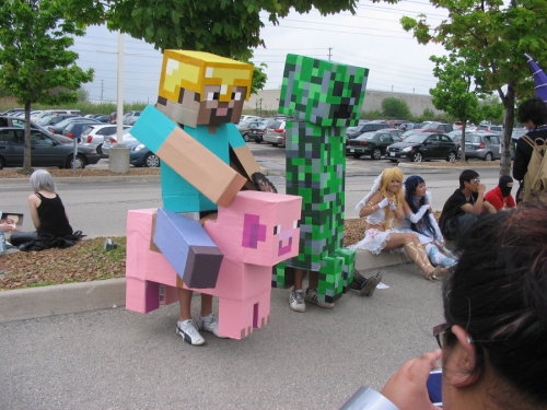 Interesting Things You Find About Minecraft Tumblr_lm3d7pagnf1qdc7t3o1_500
