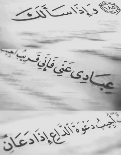 		 هًبٍآٍلٌيً مُوٍ أٍيٌ هْبٍآٌلً .. هًبٍآٍلًيٌ مٌنٍ اْلًنٍوٍعً ~> اْلًرُآٍقٌيٍ ..~ ‏) Tumblr_lnnu14J5vX1qm9kuzo1_400