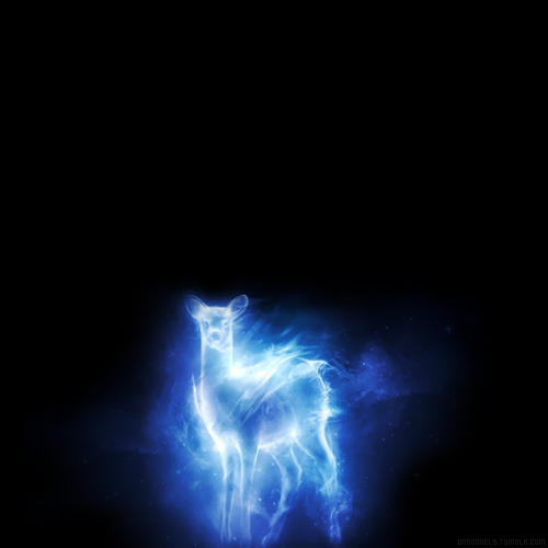 ◘ LES PATRONUS Tumblr_lodshq8zOL1qb6wtdo1_500