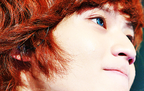 Taemin Tumblr_lohrrzocHp1qezfyjo6_r4_500