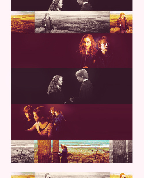 HARRY POTTER. Tumblr_lpd9wur1Xo1qd1mbko1_r1_500