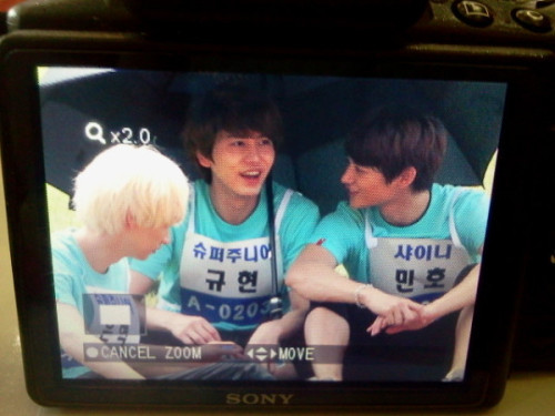 110827 SHINee @ Idol Sports Competition  Tumblr_lqkqqoMufu1qbf70so1_500