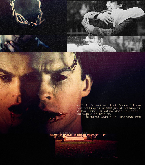 Stefan & Damon - Page 9 Tumblr_lrg0adazn01qzekdro1_500