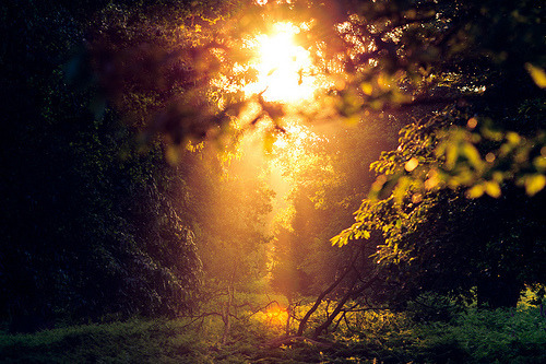 Bosque de la Luz ~ Tumblr_ls337mn9XC1qi23vmo1_500