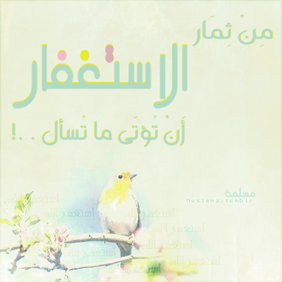 ♥ عزيزة نفسـ ♥ - صفحة 13 Tumblr_lsgj1g9EY11qks23ko1_400