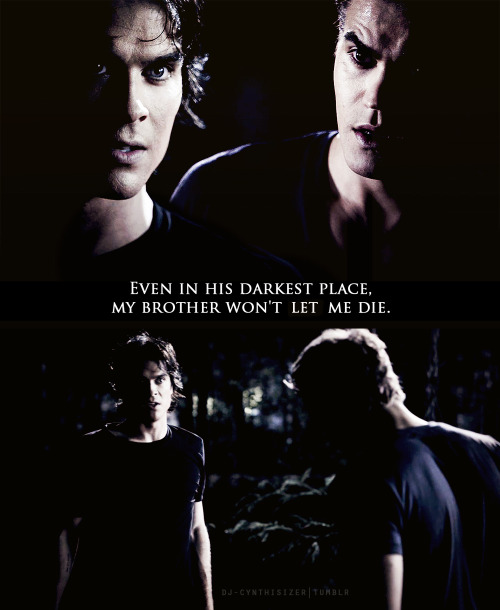 Retrouvailles au clair de lune | Damon & Stefan | Tumblr_lt8hw8hHr31qb5oaro1_r1_500