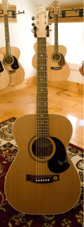 Que guitarras acousticas mais baratas devo ter em atençao? Tumblr_lu6mn5TWf21qiwiuio1_500