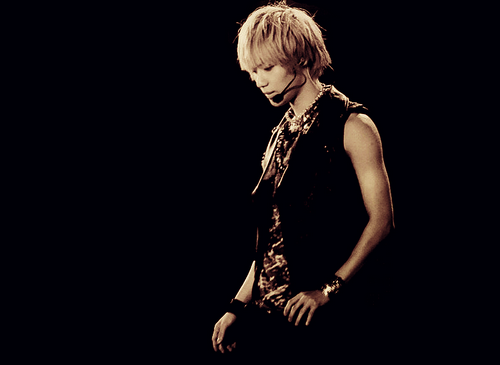 Taemin - Página 25 Tumblr_luaua6EayQ1qmurceo1_500