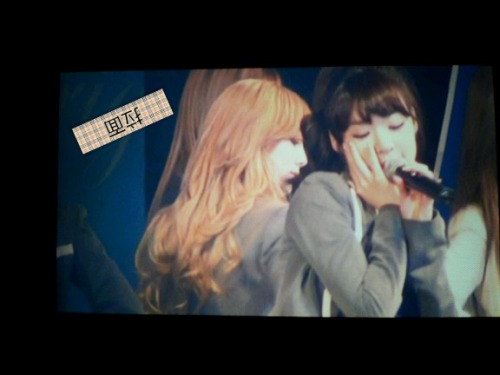 [PIC+VID][7/10/2011]∴♥∴ TaeNy ∴♥∴ Happy Heaven ∴♥∴ Happy New Year 2012 ∴♥∴ Welcome to our LOVE ∴♥∴  - Page 14 Tumblr_lv2cwlRHRT1r6agmyo1_500