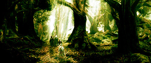  Lord of the Rings. - Page 25 Tumblr_lveex6LUbQ1qed5gvo1_500