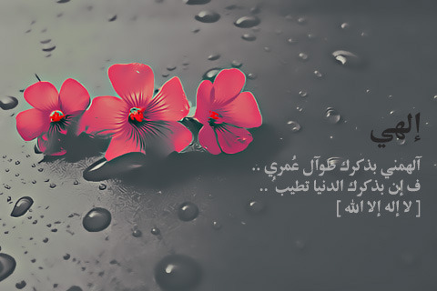 يَ قلـ♥ـب" آهجد ۆ آللّهہّْ آنهہّْ مَ درىْ عنگˇ = ( - صفحة 16 Tumblr_lvxw4hXo7l1r4ikqfo1_500