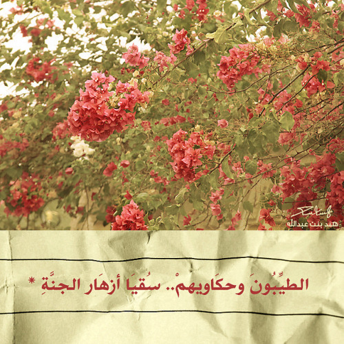 ♥ عزيزة نفسـ ♥ Tumblr_ly2h9rlIO21qm929wo1_500