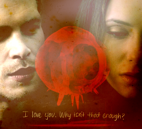 Klaus & Elena Tumblr_ly89dsTMsW1r7klcjo1_500