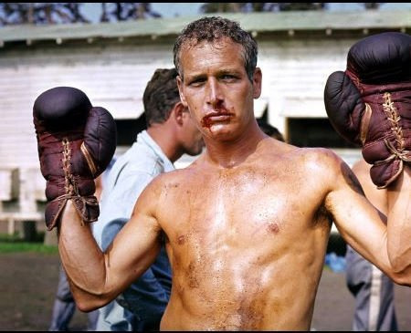 Paul Newman.... Tumblr_lzht5mV81y1qc7b1go1_500