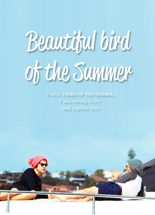 Beautiful Bird of the Summer {Larry Stylinson} Tumblr_m1xaoqg1N21rsfaoho1_r2_500