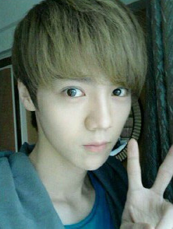 120425 EXO-M Official site update - Luhan Tumblr_m313kcUt3q1rshq9io2_r1_250