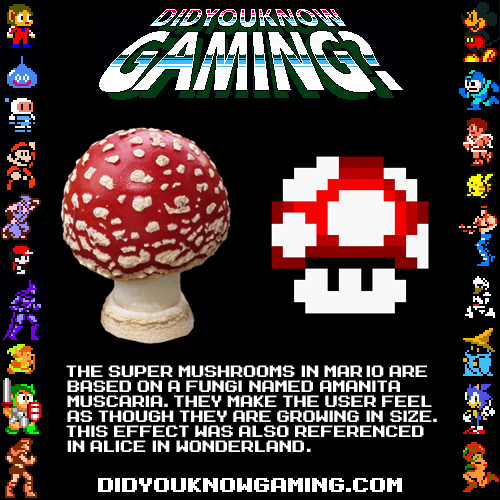 Did you know gaming? Tumblr_m6uskzBt5W1rw70wfo1_500