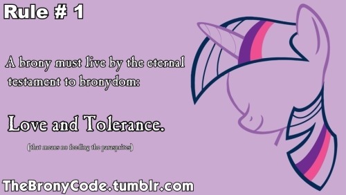 Pour vous, "Brony", ça veut dire quoi exactement? Tumblr_m77hg2TJkk1rag2alo1_500